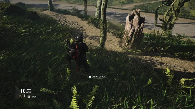Tactical Caches