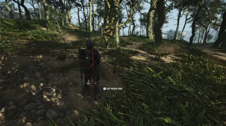 Tactical Caches