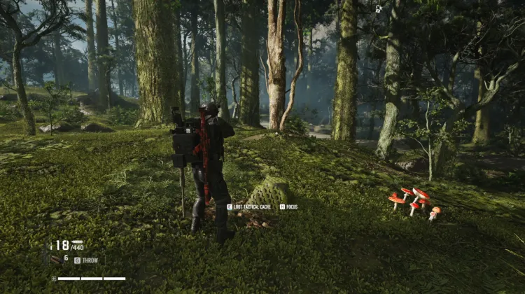 Tactical Caches