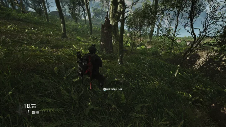 Tactical Caches