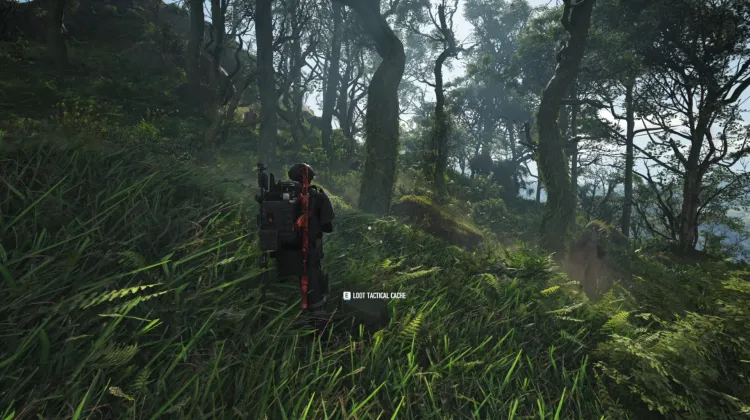 Tactical Caches