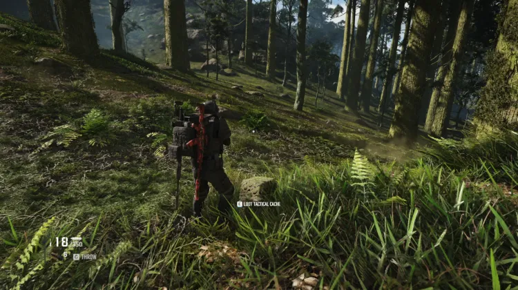 Tactical Caches