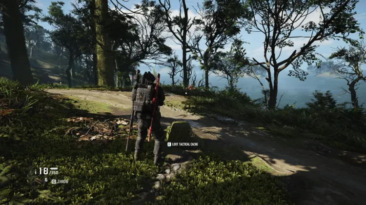 Tactical Caches