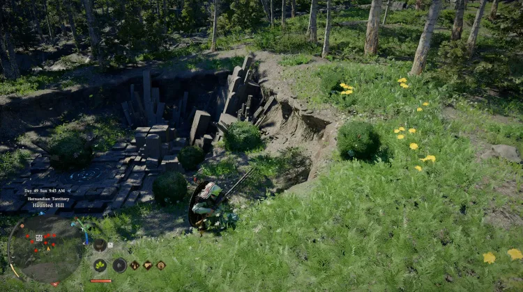 Wandershrubs