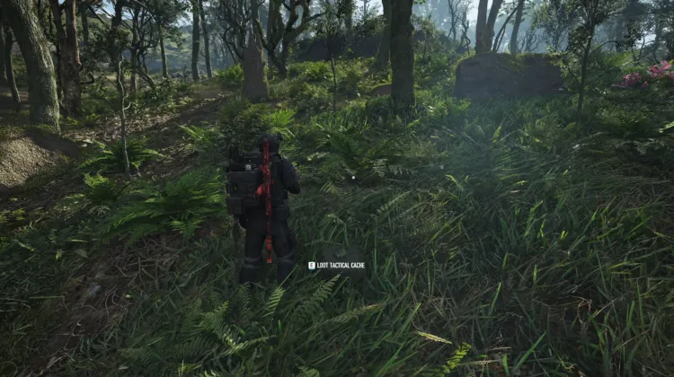 Tactical Caches
