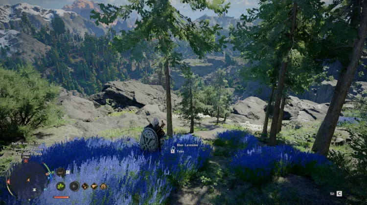 Blue Lavender