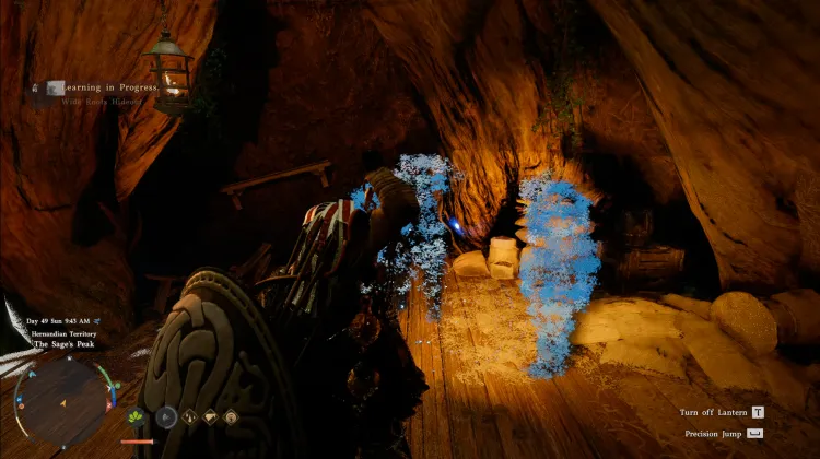 White Root Hideout