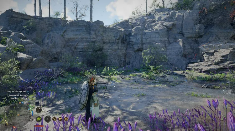 Howling Hollow