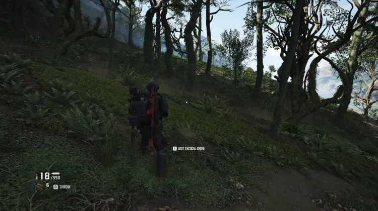 Tactical Caches