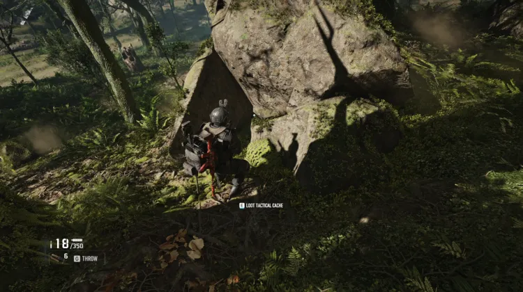 Tactical Caches