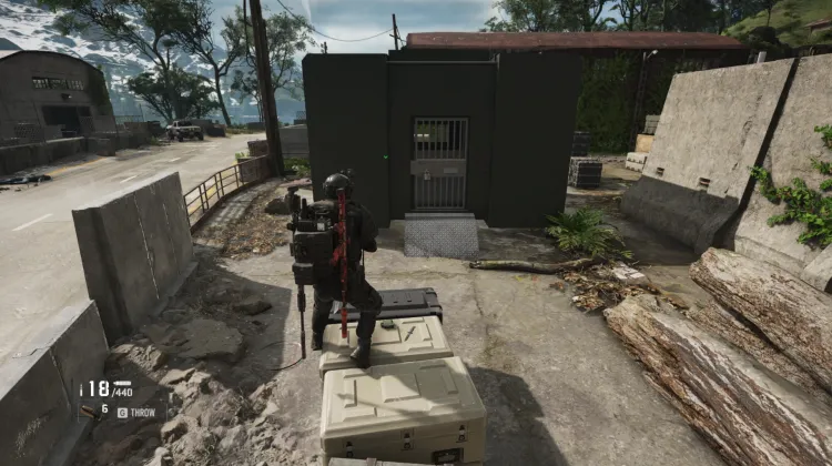Hostage