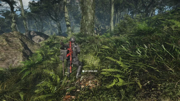 Tactical Caches