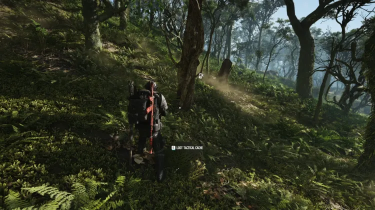 Tactical Caches