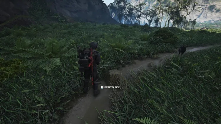 Tactical Caches