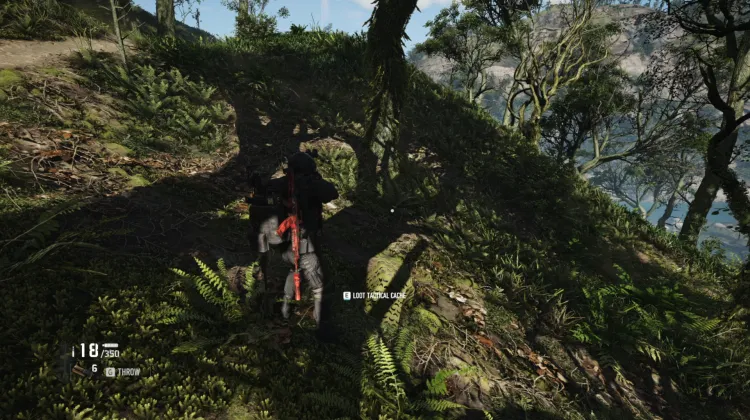 Tactical Caches