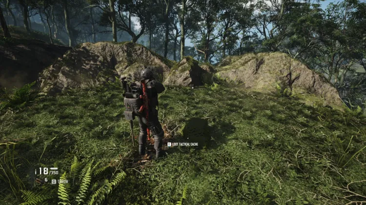 Tactical Caches