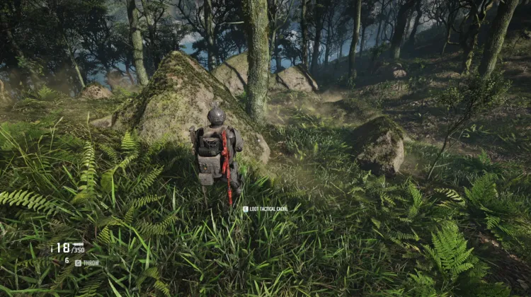 Tactical Caches