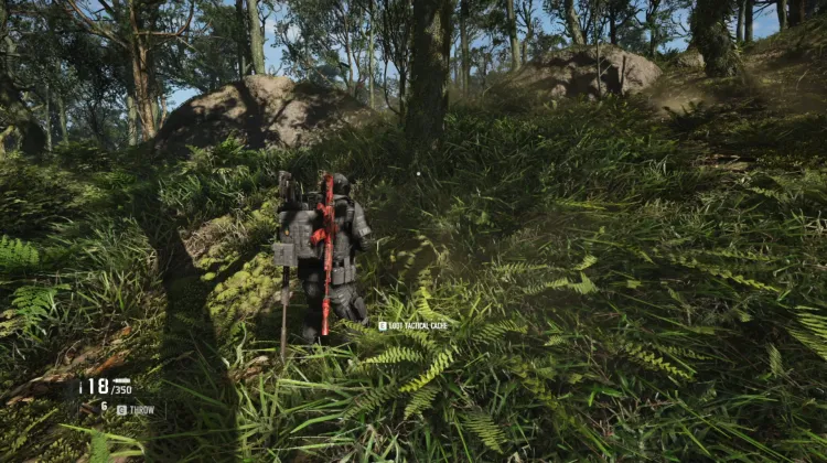 Tactical Caches