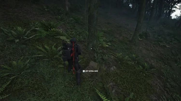 Tactical Caches