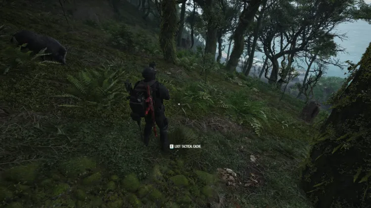 Tactical Caches