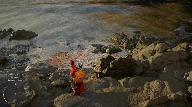 Red Seaweed
