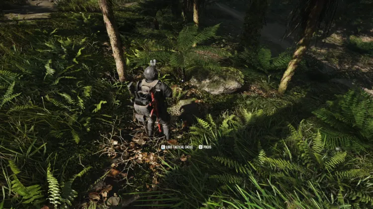 Tactical Caches