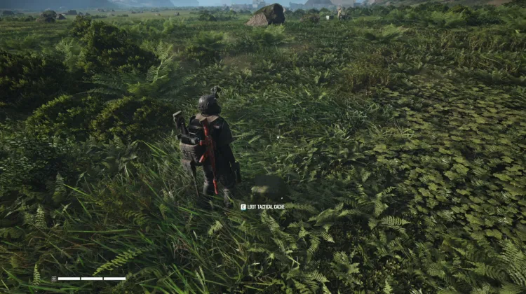 Tactical Caches