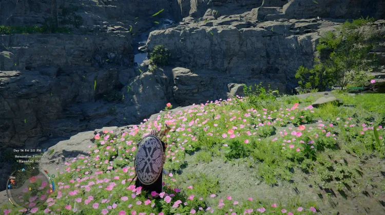 Peony