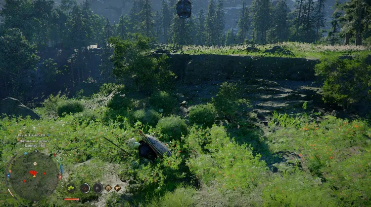 Wandershrubs