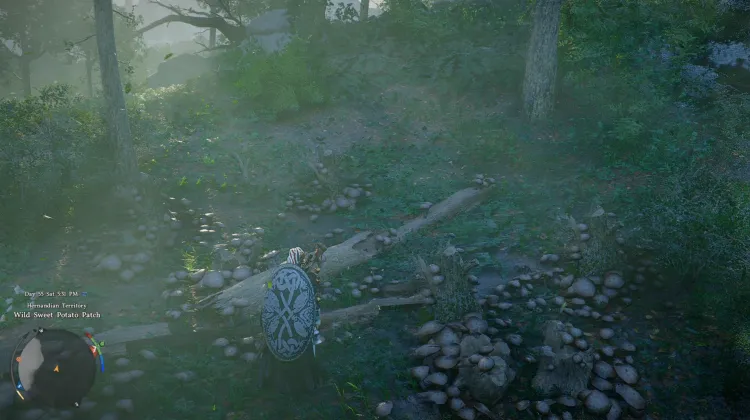 Oakwood Mushrooms