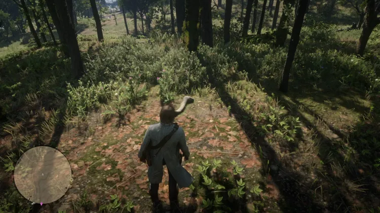 Os de dinosaure