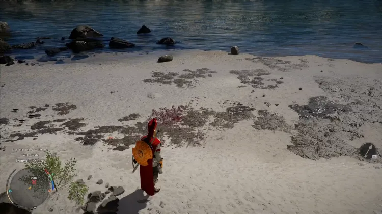 Red Seaweed