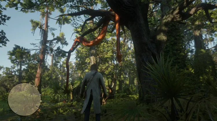 Massive Dead Snake