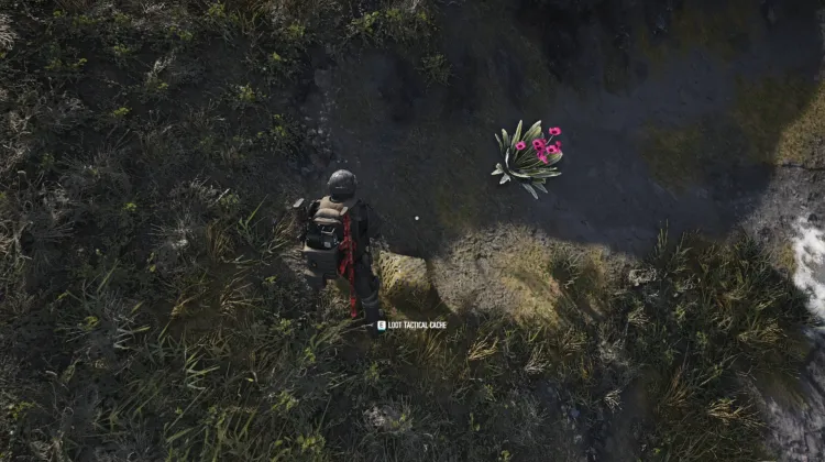 Tactical Caches