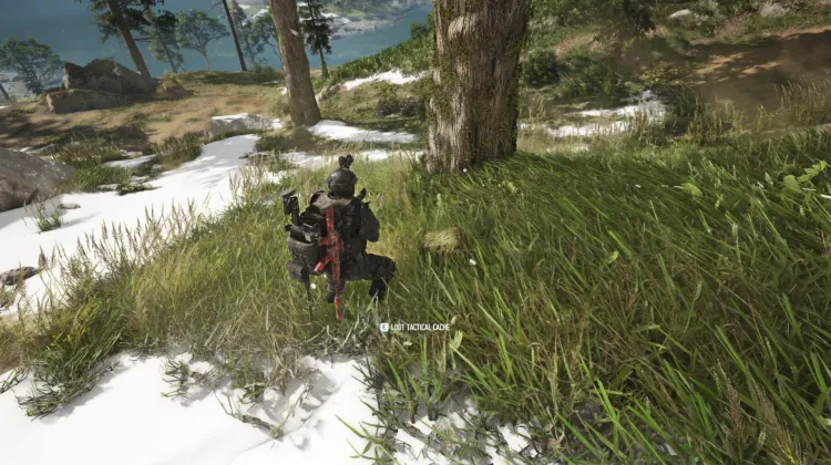 Tactical Caches
