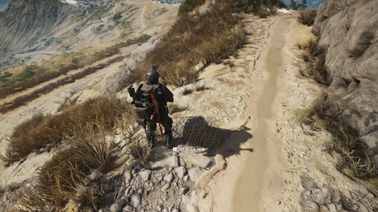 Tactical Caches