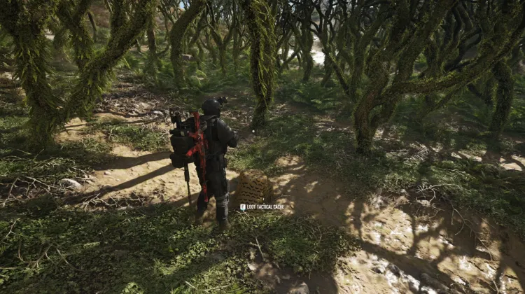Tactical Caches