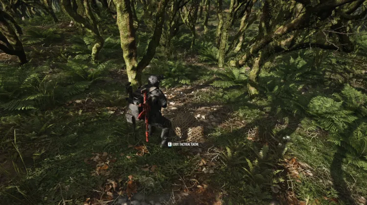 Tactical Caches