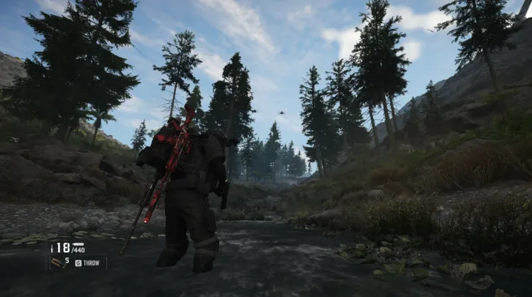 Murmur Patrol Area