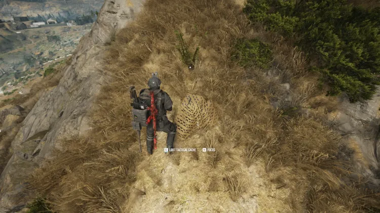 Tactical Caches