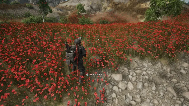 Tactical Caches