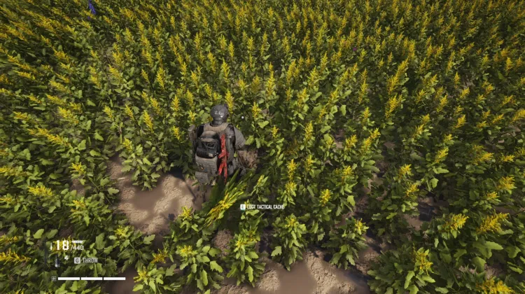 Tactical Caches