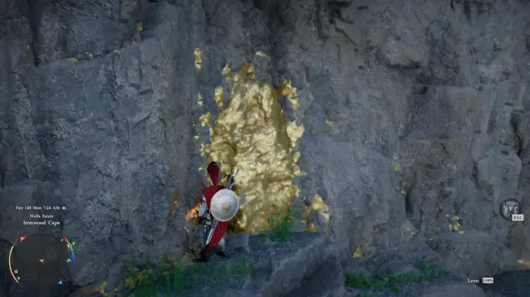 Gold Ore