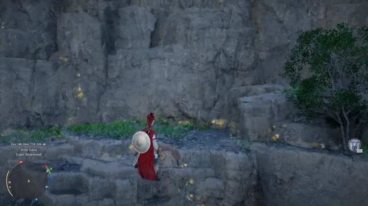 Gold Ore