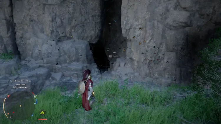 Mistveil Forest Painted Cave