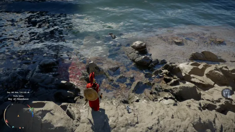 Red Seaweed