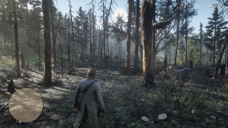 Incendio Forestal