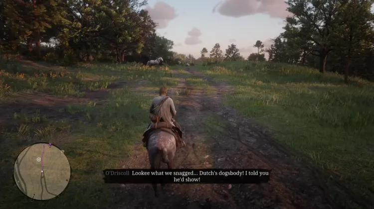 O'Driscoll Ambush