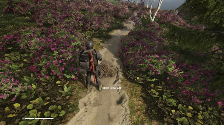 Tactical Caches