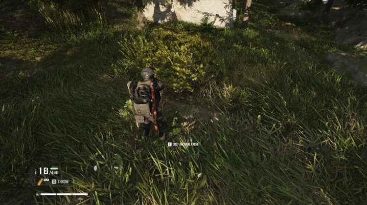 Tactical Caches